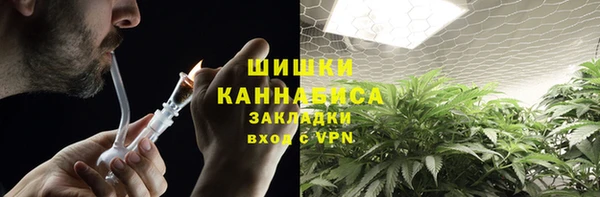 прущая мука Инта