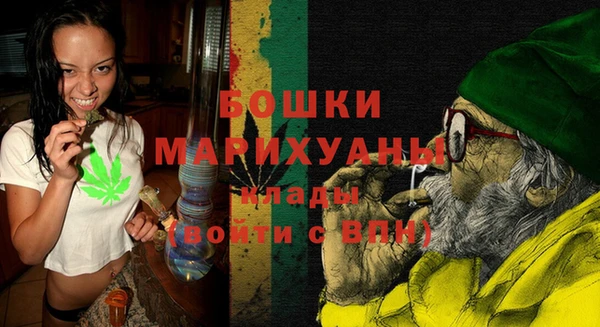 дмт Инсар