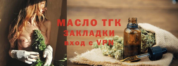 дмт Инсар