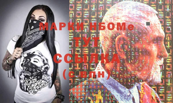 дмт Инсар