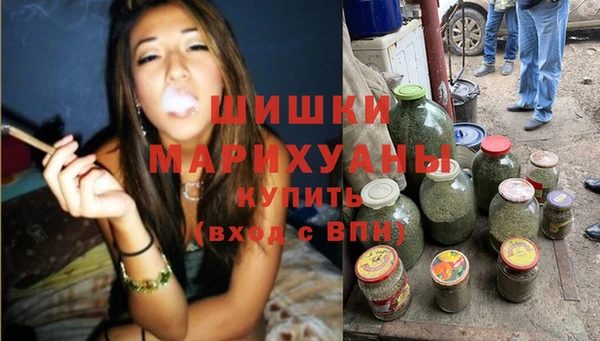 дмт Инсар