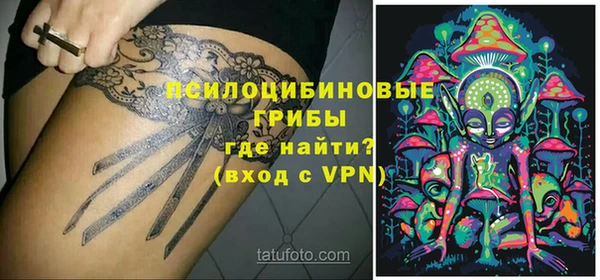 дмт Инсар