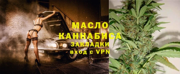 дмт Инсар