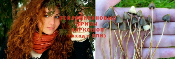 2c-b Иннополис